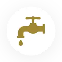 Gold Service